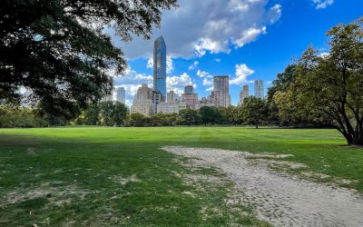 Central Park